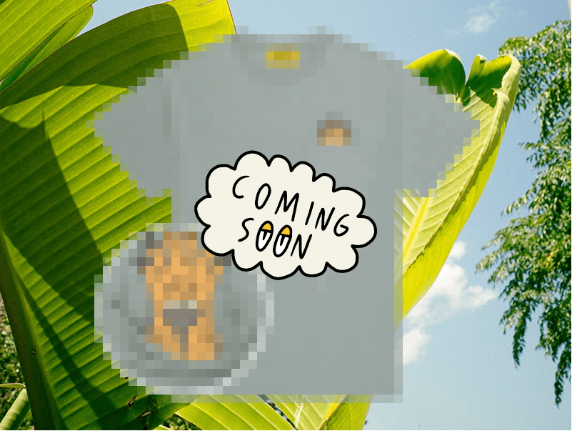 Fcku Cook jersey